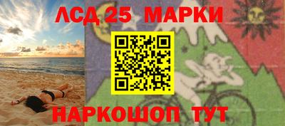 шишки Заводоуковск
