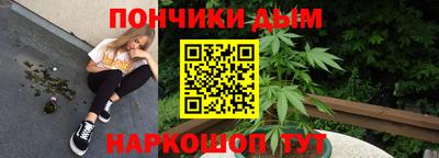 шишки Заводоуковск