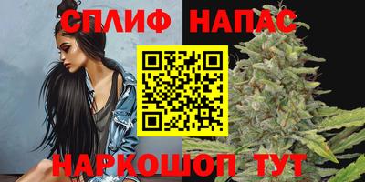 шишки Заводоуковск