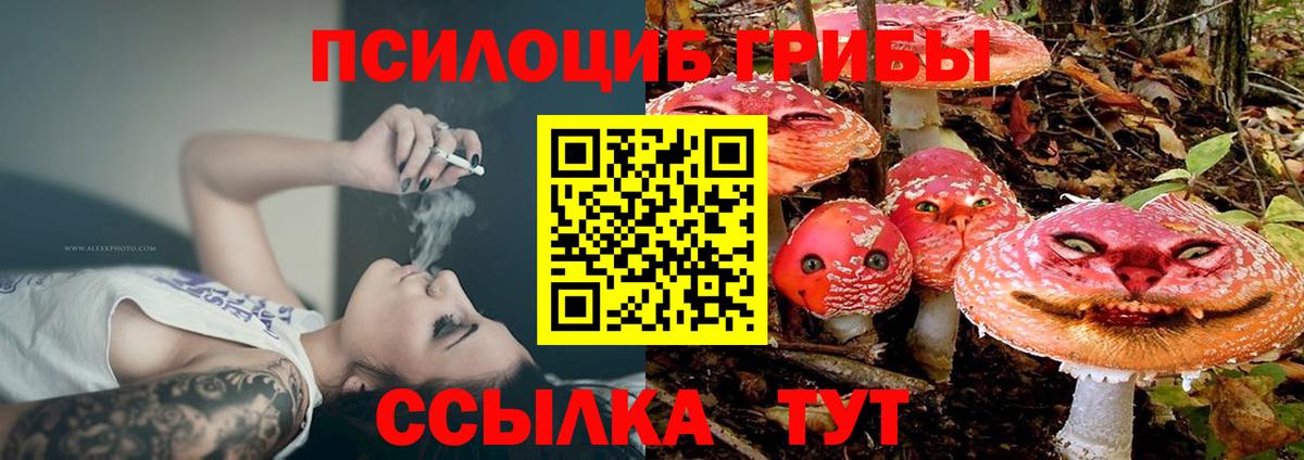Галлюциногенные грибы Psilocybine cubensis Красный Сулин